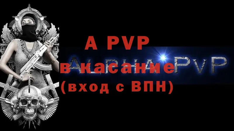 A PVP СК КРИС  Гагарин 